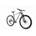CAPRIOLO C PRO MTB AL-PHA 9.7 29" grey 19"